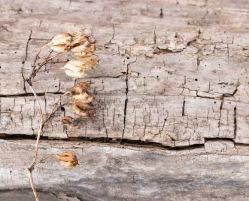 Change without Fear Tips