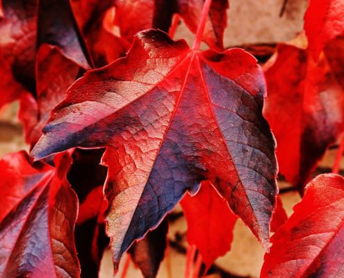 overcoming anxiety naturally