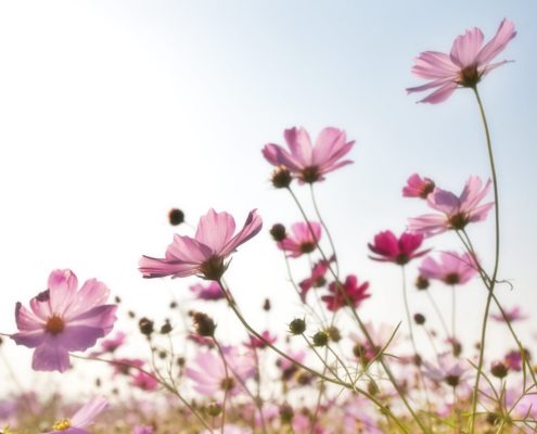 Grief and the power of stillness